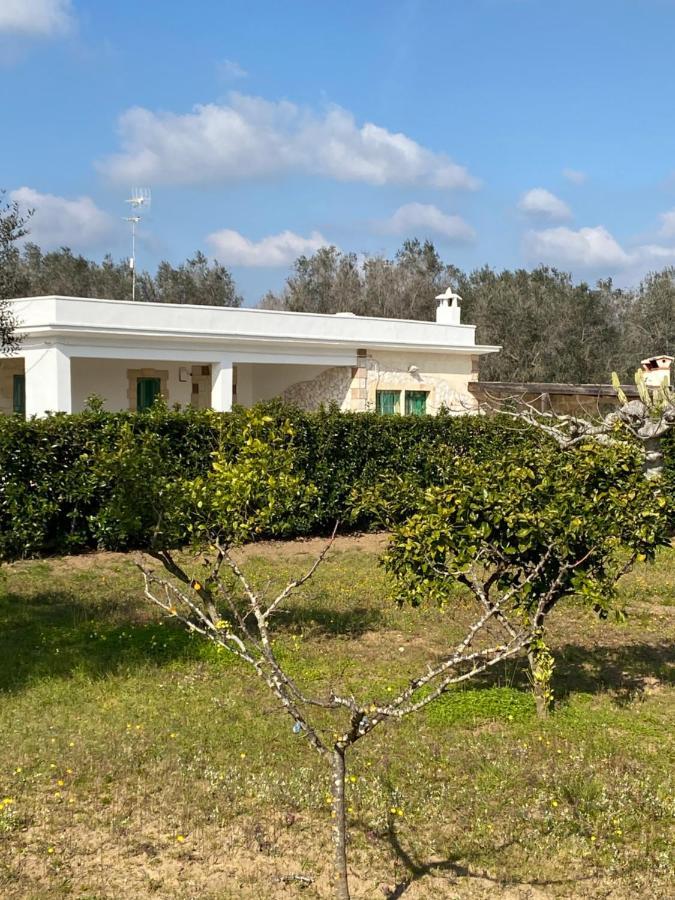 Villa Vita ออเรีย ภายนอก รูปภาพ